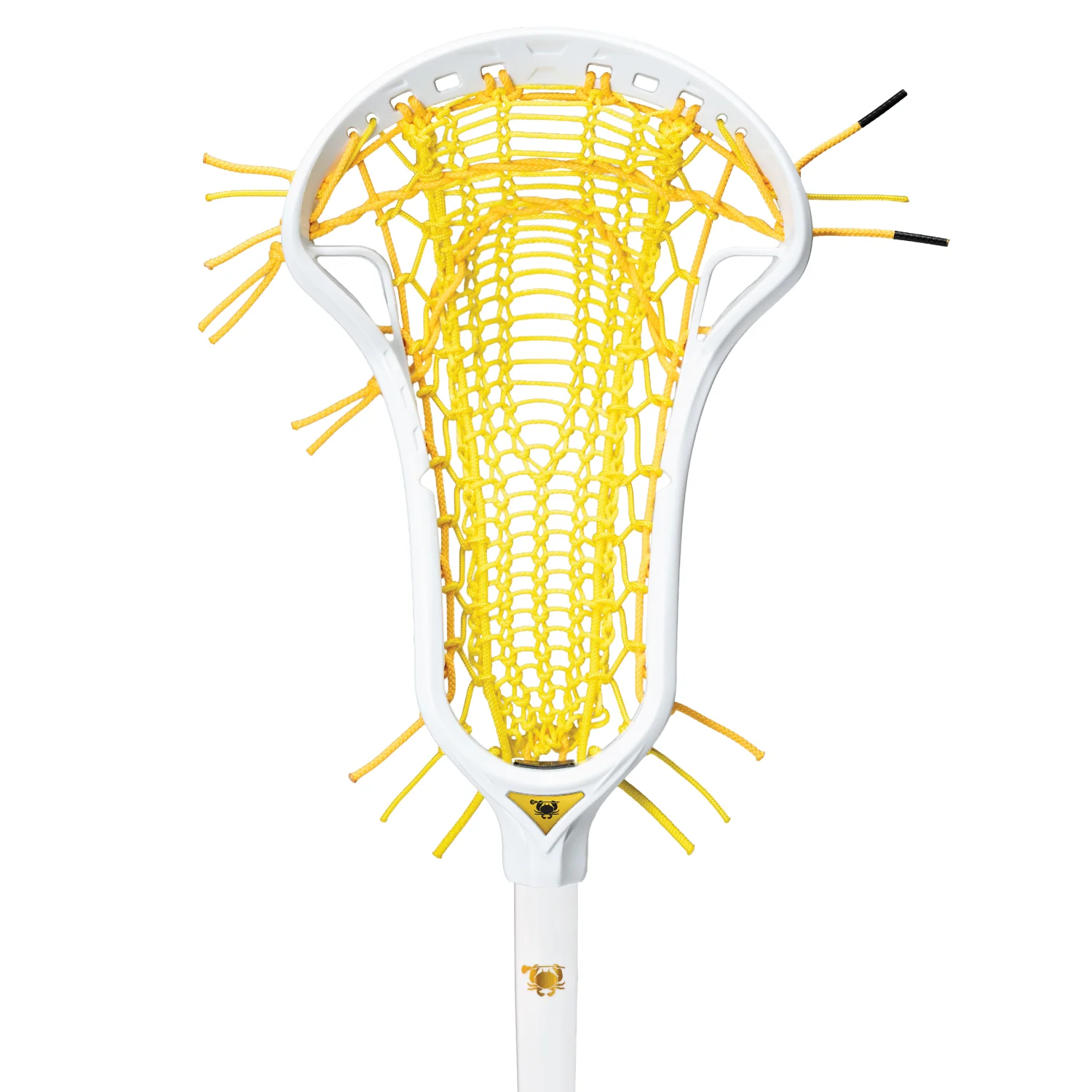 Halo Elite Setup - Valkyrie Pocket - Image 3